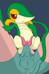  2017 anal anal_penetration clothed clothing digital_media_(artwork) duo erection female feral hi_res human interspecies male male/female mammal nintendo penetration penis pok&eacute;mon pok&eacute;philia pokeandpenetrate reptile scalie simple_background smile snivy video_games 
