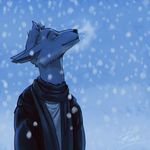  anthro breath canine clothed clothing daryabler eyes_closed fur hair male mammal scarf smile snow solo standing 
