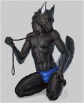  anthro bulge canine clothed clothing collar daryabler kneeling leash looking_at_viewer male mammal nipples solo topless underwear 
