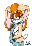  2017 breasts brown_eyes digital_media_(artwork) eyelashes female half-closed_eyes jumpjump lagomorph looking_at_viewer mammal nipples rabbit side_boob simple_background solo sonic_(series) standing under_boob vanilla_the_rabbit virgin_killer_sweater white_background 