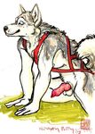  2005 anthro balls canine dog harness java knot male mammal nude penis solo 