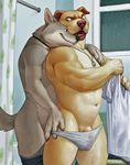  ^69 anthro canine clothing dog duo male male/male mammal penis underwear 