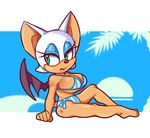  bat big_breasts bikini breasts clothing female lipstick makeup mammal rouge_the_bat solo sonic_(series) squidapple swimsuit wings 