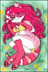  anthro bikini clothed clothing female hair hybrid long_hair mammal mustelid nikki o0aquadragon0o otter raccoon solo swimsuit 