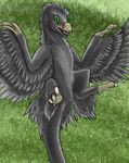  2017 absurd_res ambiguous_gender animal_genitalia betlv black_feathers claws cloaca digital_media_(artwork) dinosaur feathered_wings feathers feral foliage green_background green_eyes hi_res leaves lying microraptor nature no_sclera nude on_back open_mouth raptor scalie shaded simple_background slit_pupils solo spread_legs spreading teeth theropod toe_claws tongue winged_arms wings 