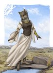  alassa anthro brown_fur canine clothed clothing cloud day dress female fur grass humanoid_hands landscape long_sleeves mammal multicolored_fur outside plantigrade sky solo standing two_tone_fur vest water white_dress wolf 