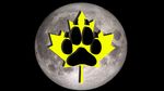  2017 black_background black_paw canada canine claws mammal maple_leaf moon shadow simple_background thegoldenwolf wolf wolf_paw yellow_leaf 