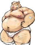  anthro armpit_hair band-aid bandage boar briefs clothing kotobuki male mammal nipples obese overweight overweight_male pig porcine solo underwear 