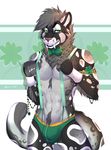  4_leaf_clover anthro bulge clothing feline looking_at_viewer male mammal muscular myloveless smile solo suspenders underwear 