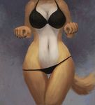  anthro breasts clothed clothing efudek female fur mammal panties simple_background solo underwear 