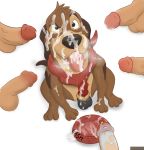  anatomically_correct bestiality bowl bukkake canid canine canis cum cum_drip cum_everywhere cum_in_eye cum_in_mouth cum_inside cum_on_body cum_on_face cum_on_tongue disney dog drinking drinking_cum dripping feral first_person_perspective food_bowl fox_and_the_hound group happy human humiliation in invalid_tag knot looking_at_viewer magzol male male/male mammal messy money smile solo_focus tongue 