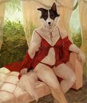  2017 anthro border_collie breasts canine clothing collie digital_media_(artwork) dog female fur lingerie looking_at_viewer mammal oouna open_mouth smile solo white_fur 