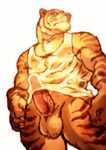  anthro balls big_muscles bottomless chest_tuft claws clothed clothing digital_media_(artwork) ekumaru erection erection_under_clothes fangs feline fur low-angle_view male mammal muscular muscular_male orange_fur penis shirt simple_background solo standing tank_top tiger translucent tuft wet wet_shirt white_background 
