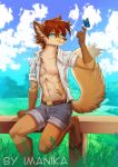  2019 4_toes abs anthro arthropod barefoot blue_eyes brown_hair brown_nose butterfly canid canine day detailed_background digital_media_(artwork) digitigrade duo feral fox fur hair imanika insect lepidopteran male mammal navel outside sky toes 
