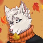  ambiguous_gender anthro canine facial_piercing fur hair looking_at_viewer mammal mishabahl nose_piercing piercing scarf smile solo 