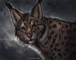  2017 amber_eyes ambiguous_gender feline feral flashw fur lynx mammal solo spots spotted_fur whiskers 