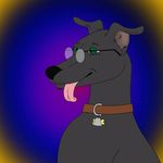  anthro black_nose canine dog eyewear green_eyes greyhound male mammal mearcu solo tongue tongue_out 