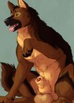  2016 anatomically_correct anatomically_correct_penis animal_genitalia animal_penis balls canine canine_penis dog feral german_shepherd hi_res knot knot_in_sheath male mammal marjani pawpads penis penis_tip sheath simple_background sitting solo tongue tongue_out 