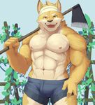  2017 anthro biceps canine fur male mammal moki muscular muscular_male nipples pecs simple_background solo 