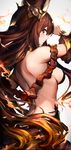  animal_ears anthuria blush breasts brown_eyes brown_hair closed_mouth erune fire from_side granblue_fantasy highres long_hair looking_at_viewer looking_back medium_breasts oyu_(sijimisizimi) profile smile solo very_long_hair 