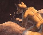  abstract_background ambiguous_gender anthro canine duo fox fur kneeling male mammal pan_hesekiel_shiroi rear_view slit_pupils yellow_eyes yellow_fur 