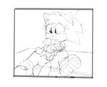  amy_rose anthro blush bottomless clothed clothing disembodied_penis duo erection female hedgehog humanoid_penis imminent_sex male male/female mammal penis pussy skirt solo_focus sonic_(series) spread_legs spreading tears vikalh young 