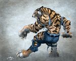  clothing feline invalid_tag mammal muscular tiger transformation weretiger 