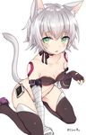  adapted_costume animal_ears arm_support artist_name bandaged_arm bandages black_gloves black_legwear black_panties boots breasts bustier cat_ears cat_tail cleavage eyebrows_visible_through_hair fang fate/apocrypha fate_(series) fingerless_gloves gloves green_eyes jack_the_ripper_(fate/apocrypha) leaning_forward nail_polish navel open_mouth panties paw_pose scar shijima_(sjmr02) short_hair silver_hair simple_background single_glove sitting small_breasts solo string_panties tail thigh_boots thighhighs twitter_username underwear white_background 