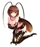  all_fours antennae bare_shoulders black_skirt blush breasts brown_eyes brown_hair bug carapace claws closed_mouth cockroach collar devil_bug eyebrows_visible_through_hair fewer_digits full_body gloves insect insect_girl insect_wings jewelry kenkou_cross kneeling leg_belt looking_at_viewer medium_breasts microskirt monster_girl monster_girl_encyclopedia necklace official_art short_hair simple_background skirt small_breasts smile sweat thigh_strap thighhighs translated white_background wings 