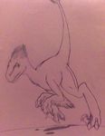  dinosaur dinosuar raptor running sketch theropod 