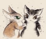  2015 cat duo feline ichthy0stega mammal simple_background 