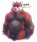  2017 balls blush brown_fur english_text erection eyes_closed fur humanoid_penis male mammal navel nipples partially_retracted_foreskin penis red_fur red_panda requiembeatz signature simple_background slightly_chubby solo standing text uncut whiskers white_fur 