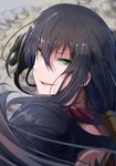  bad_id bad_pixiv_id black_hair fate/grand_order fate_(series) green_eyes hair_between_eyes highres long_hair looking_at_viewer looking_back male_focus open_mouth ponytail portrait shirtless smile tattoo wada_kazu yan_qing_(fate/grand_order) 