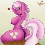  &lt;3 2017 anatomically_correct animal_genitalia animal_pussy anthro anus areola armpits big_breasts breasts butt cheerilee_(mlp) desk earth_pony equine equine_pussy erect_nipples female friendship_is_magic hair hands_behind_head horse looking_at_viewer mammal marukomuru multicolored_hair my_little_pony nipples nude pink_hair pony pussy raised_arm simple_background sitting smile solo two_tone_hair 