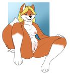  2017 alpha_channel anthro blonde_hair blue_eyes breasts brown_fur butt canine female fox fur hair long_hair mammal navel nude open_mouth os pussy sitting smile solo spread_legs spreading teeth white_fur 