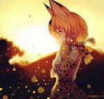  animal_ears bad_end crying crying_with_eyes_open disappear from_side hand_on_own_face kemono_friends open_mouth outdoors sad serval_(kemono_friends) serval_ears serval_print solo spoilers standing sunset tears wide-eyed yaoshi_jun 