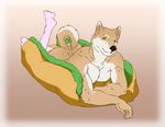  9x9 anthro butt canine clothing dog dog_bed knee_socks legwear looking_at_viewer lying male mammal muscular on_front raised_tail shiba_inu simple_background smile socks solo 