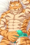  abs anthro biceps clothed clothing digital_media_(artwork) feline fur male mammal muscular muscular_male pecs tiger topless wildheit 