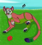  cat cougar cub feline flower grass mammal paws plant young 