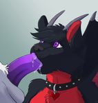  2017 absurd_res ambiguous_species anthro anthro_on_anthro balls biped black_fur black_hair black_nose canine collar countershade_torso countershading cum cum_in_mouth cum_inside cum_on_penis digital_media_(artwork) dragon duo erection faceless_male fellatio female fur grey_background grey_balls grey_fur grey_horn hair heart_wolfdragon hi_res horn humanoid_penis hybrid lady-darkstreak looking_up male male/female mammal membranous_wings multicolored_fur nude oral oral_penetration penetration penis purple_eyes purple_penis red_countershading red_fur sex signature simple_background two_tone_fur white_fur wings wolf 