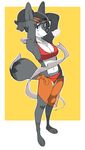  anthro breasts canine clothed clothing female fur hair mammal navel polywomple solo standing 