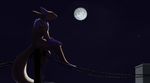  digimon koosh-ball moon night outside painting renamon sky solo star 
