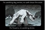  andypriceart black_and_white bruce_springsteen crying cutie_mark equine friendship_is_magic graveyard greyscale headstone horn mammal monochrome my_little_pony raining shining_armor_(mlp) song song_lyrics tears the_river tree unicorn 