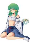  absurdres amano_myonta bad_id bad_pixiv_id bandages detached_sleeves full_body green_hair highres kochiya_sanae midriff no_shirt sarashi snake solo touhou transparent_background yellow_eyes 