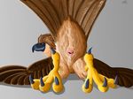  2017 3_toes ambiguous_gender anatomically_correct animal_genitalia ass_up avian beak big_feet bird brown_eyes brown_feathers butt claws cloaca cloaca_juice cum digital_media_(artwork) dripping eagle feathers feral fol foot_focus looking_at_viewer looking_back lying on_front philippine_eagle presenting presenting_cloaca presenting_hindquarters simple_background smile smirk solo tail_feathers talons toes wings 