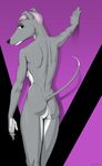  2017 anthro butt canine dog eyeshadow female gewitter greyhound hair invalid_tag looking_at_viewer makeup mammal nude simple_background solo 