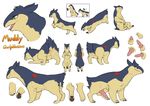  animal_genitalia anus balls feral hybrid knot maim male model_sheet multiple_poses nintendo penis pok&eacute;mon pose quadruped quilava sheath solo typhlosion video_games 