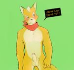  anthro balls canine erection fox fox_mccloud male mammal nintendo penis solo star_fox tohfu video_games 