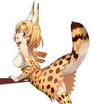  akasaai animal_ears bare_shoulders blonde_hair breasts cowboy_shot detached_sleeves dress elbow_gloves gloves highres kemono_friends leaning_forward looking_at_viewer medium_breasts open_mouth serval_(kemono_friends) serval_ears serval_print serval_tail short_hair solo tail thighs yellow_dress yellow_legwear 