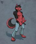  anthro canine clothed clothing erection fur male mammal nawka nipples penis rey_gruson simple_background smile solo topless wolf 